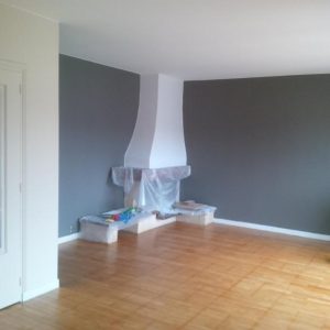 Société de peinture appartement 94